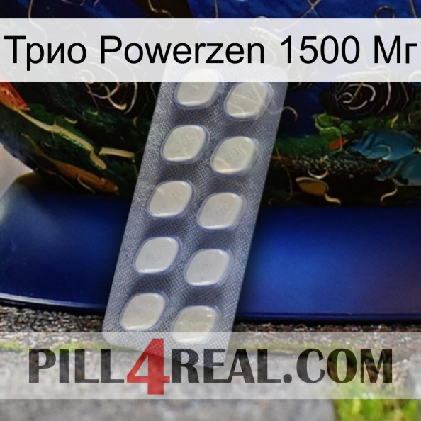 Трио Powerzen 1500 Мг 08.jpg